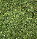 Vorschaubild JR FARM Petersilienstiele 5kg Raufuttermittel für Kleintiere