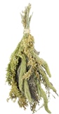 JR FARM Hirsen-Potpourri 50g VogelsnackZubehörbild