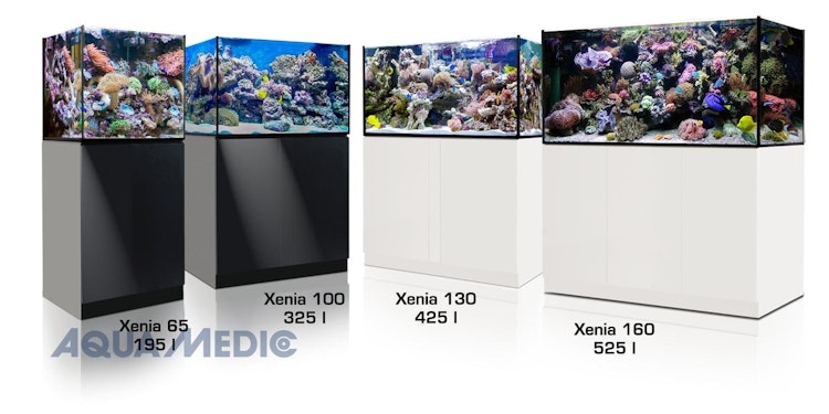AQUA MEDIC Xenia Meerwasser-Aquarium mit Unterschrankfiltersystem