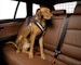 Kleinmetall Allsafe Sicherheitsgurt Reisezübehör für HundeBild