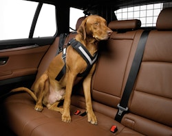 Kleinmetall Allsafe Sicherheitsgurt Reisezübehör für Hunde