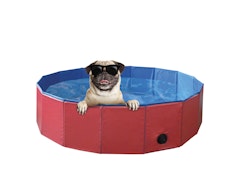 NOBBY Hundepool
