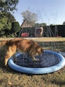 Vorschaubild NOBBY Splash Pool Ø 150 cm