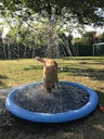 Vorschaubild NOBBY Splash Pool Ø 150 cm