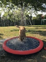Vorschaubild NOBBY Splash-Pool rot; Ø 100 cm