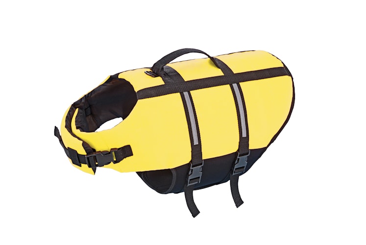 NOBBY Hunde Schwimmhilfe Classic