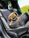 Vorschaubild LEBON Siggi – Autobett Hundetransport