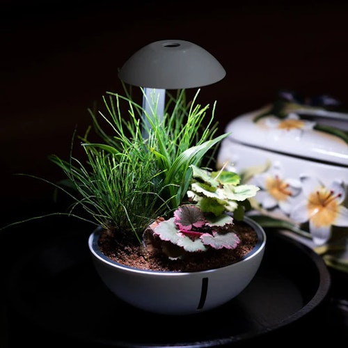 Chihiros Tiny Terrarium Egg 10 Watt Aquarienbeleuchtung