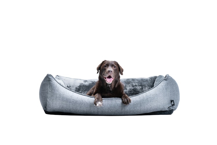 Allpets Bett Mila orthopädisch grau Hundeschlafplatz