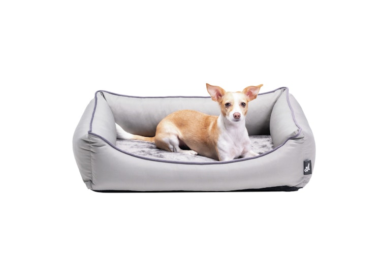 Allpets Bett Clara orthopädisch grau Hundeschlafplatz