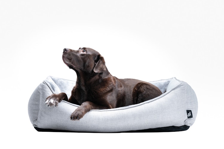 Allpets Bett Marlon orthopädisch silbergrau Hundeschlafplatz