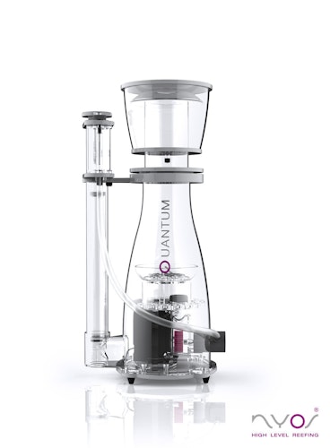 NYOS Quantum 160 Abschäumer