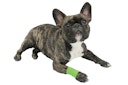 Vorschaubild Vetlando Anti-Lick-Bandage Hunde- & Katzenpflegeartikel