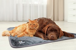 Allpets Kuscheldecke grau für Hunde