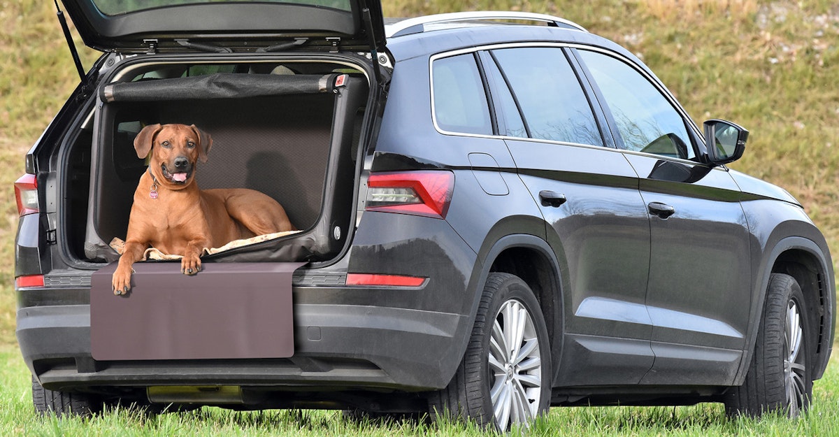 TAMI Auto & Home aufblasbare Hundebox mit Airbagfunktion braun XL 105x95x70cm