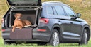TAMI Auto & Home aufblasbare Hundebox mit Airbagfunktion braun