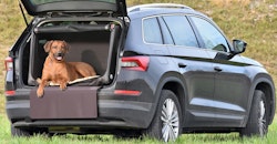 TAMI Auto & Home aufblasbare Hundebox mit Airbagfunktion braun