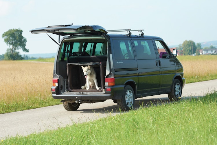 TAMI Backseat Box Hundebox mit Airbagfunktion braun