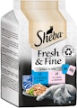 Sheba Fresh&Fine Gelee Multipack 6x50 Gramm Katzennassfutter Thunfisch und LachsVorschaubild