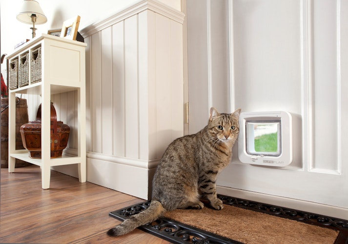 SureFlap Katzenklappe mikrochipgesteuert