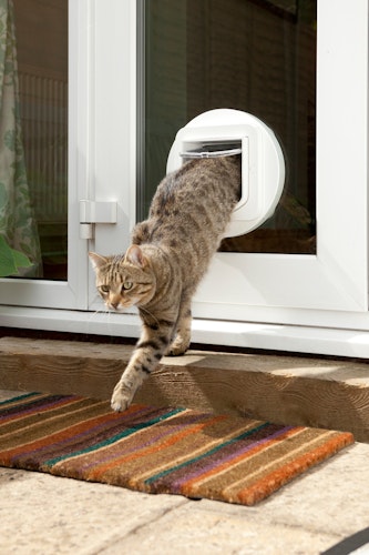 SureFlap Katzenklappe mikrochipgesteuert