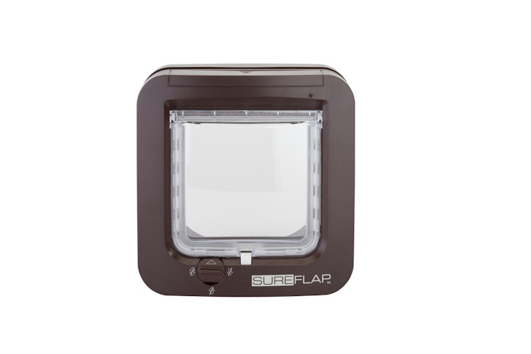 SureFlap Katzenklappe mikrochipgesteuert