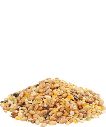 VERSELE-LAGA Gra-Mix Ardenner 20kg