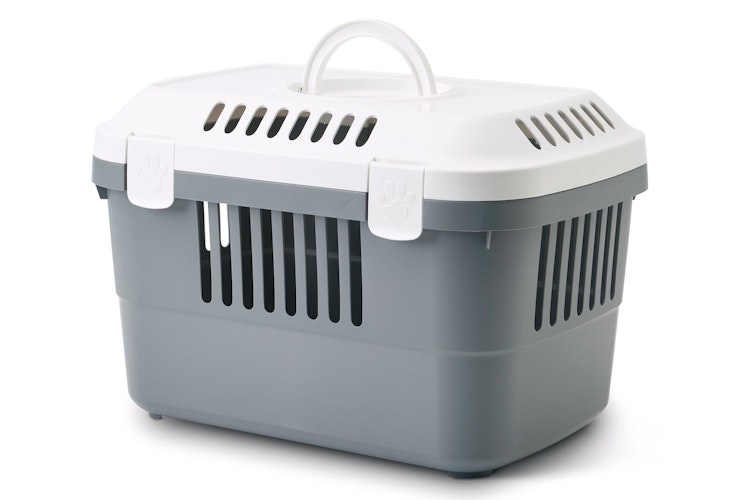 SAVIC Transportbox Discovery 1 grau/weiß