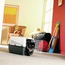 SAVIC Transportbox anthrazit/grau