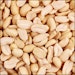 Einzelsaaten Erdnusskerne blanchiert 25 Kilogramm WildvogelfutterBild