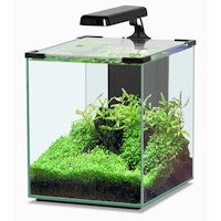 Aquatlantis Nano Cubic 30 LED Aquarium-Set