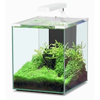 Aquatlantis Nano Cubic 30 LED Aquarium-Set