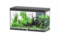 aquatlantis Splendid 200 schwarz Aquarium mit Unterschrank