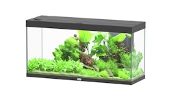 aquatlantis Splendid 240 schwarz Aquarium mit Unterschrank