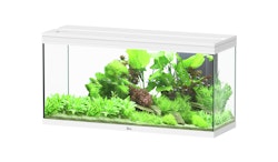 aquatlantis Splendid 240 weiß Aquarium mit Unterschrank