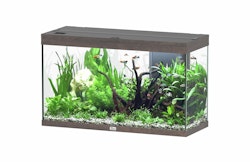 Aquatlantis Splendid 200 Aquarium-Set