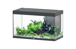 Aquatlantis Sublime 245 Anthrazit Aquarium-Set