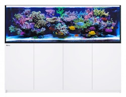 Red Sea REEFER 900 G2+ System Aquarium mit Unterschrank