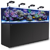 Red Sea REEFER XXXL900 G2+ DLX  System 4xRL 89 Aquarium mit Unterschrank