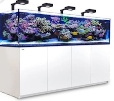 Red Sea REEFER XXXL900 G2+ DLX  System 4xRL 89 Aquarium mit Unterschrank