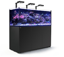 Red Sea REEFER Deluxe XXL 625 Complete Meerwasser-Aquarium mit Unterschrank