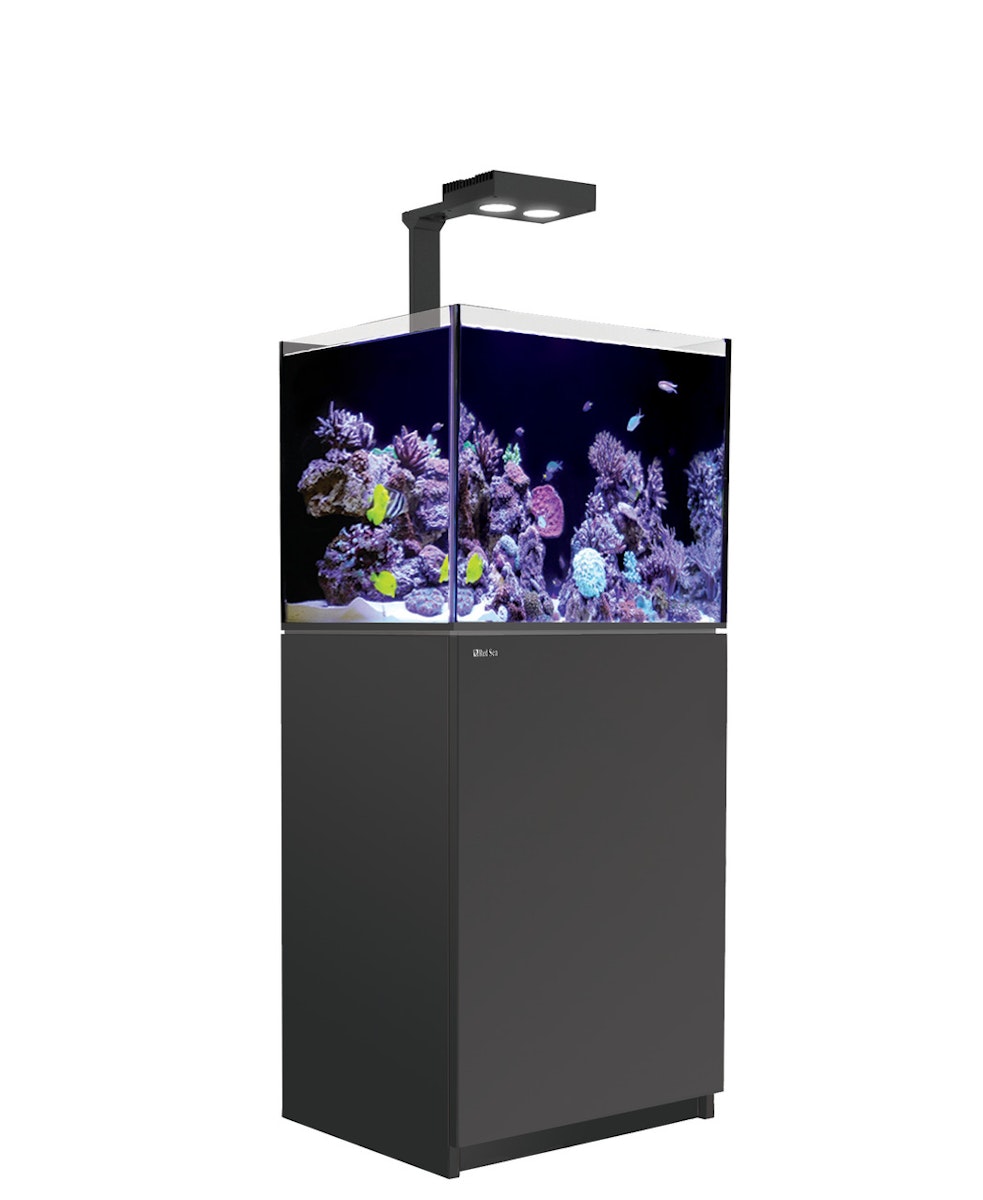 Red Sea REEFER Deluxe 170 Complete Meerwasser-Aquarium mit Unterschrank