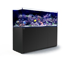 Red Sea REEFER 750 XXL Complete (G2 - Modelljahr 2022) Meerwasseraquarium mit Unterschrank