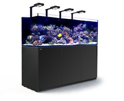 Red Sea REEFER Deluxe XXL 750 Complete Meerwasser-Aquarium mit Unterschrank