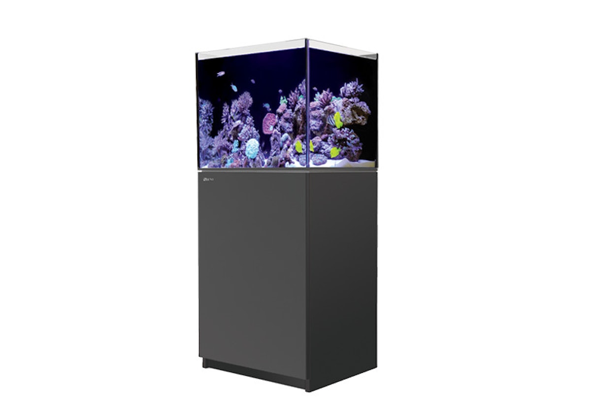 Red Sea REEFER 170 Meerwasser-Aquarium mit Unterschrank