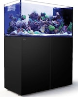 Red Sea REEFER 500 G2+ Peninsula DLX 2x RL160 Aquarium mit Unterschrank