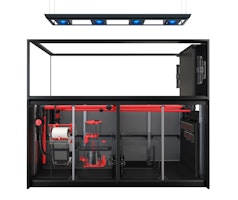 Red Sea REEFER™ MAX Peninsula S-950 G2+ System