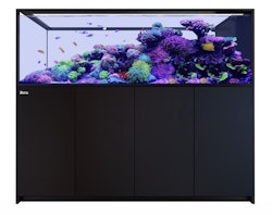 Red Sea REEFER S950 G2+ Peninsula System Aquarium mit Unterschrank