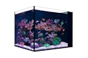 Red Sea Desktop Aquarium Set