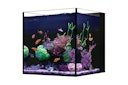 Red Sea Desktop Aquarium Set